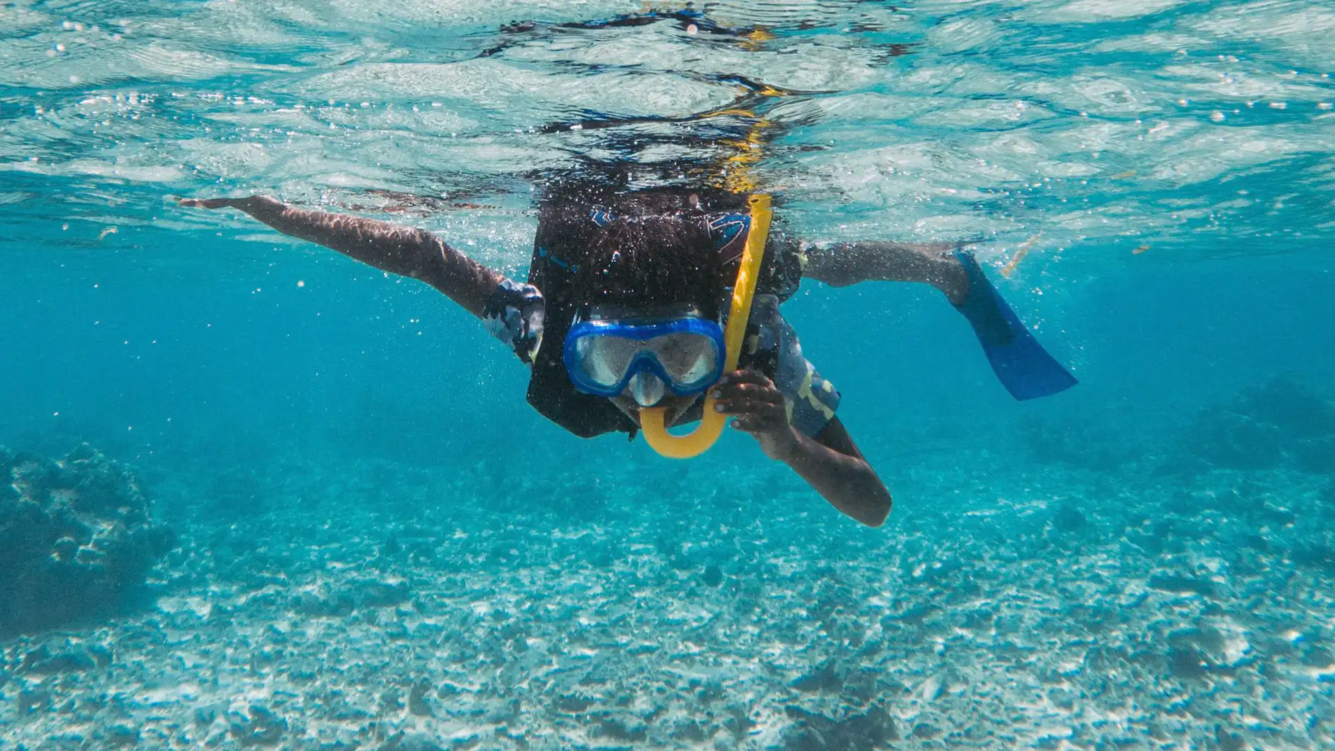 Bar Reef snorkelling