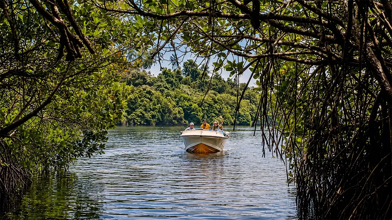 Bentota River safari