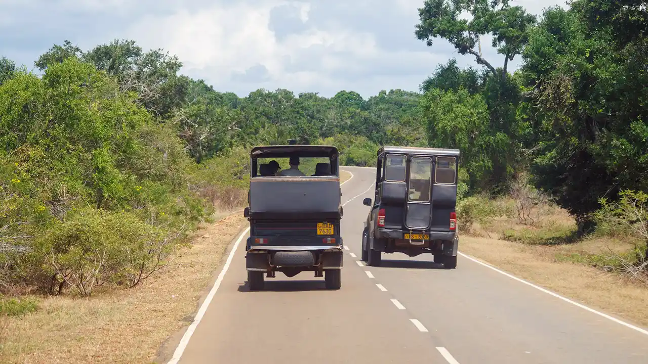 `Plan your visit to Yala National Park, Sri Lanka`