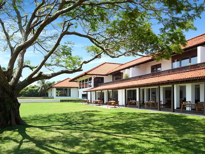 Jetwing Lagoon Wellness or Similar — Day 1 of Luxury Wildlife Experience