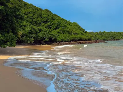 Galle to BIA activities — Day 12 of Leopard Safari