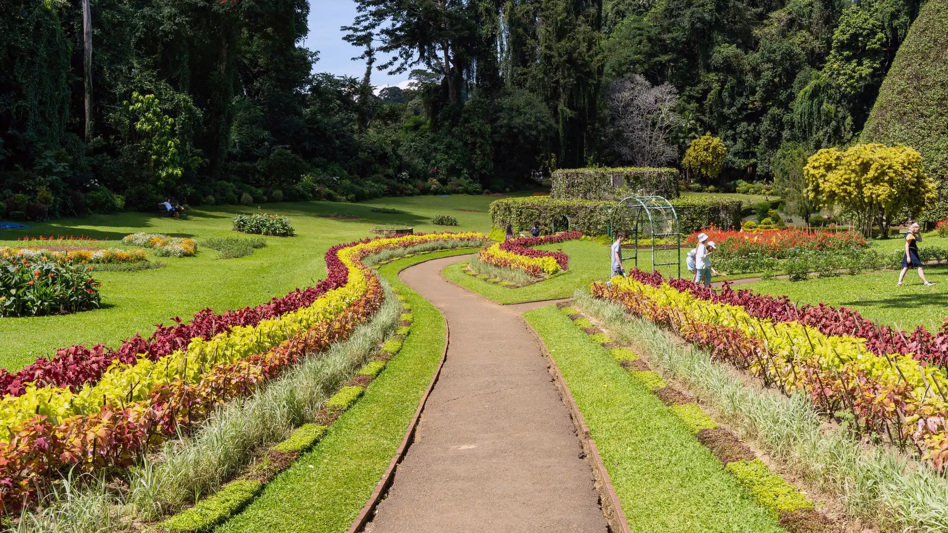 Royal Botanical Gardens in Kandy, Sri Lanka with tropical trees and flowers