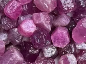 Ruby Hot Pink and sapphire experience in Sri Lanka