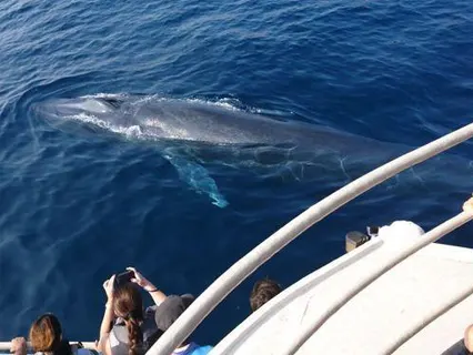 Mirissa activities — Day 12 of Luxury Wildlife Experience