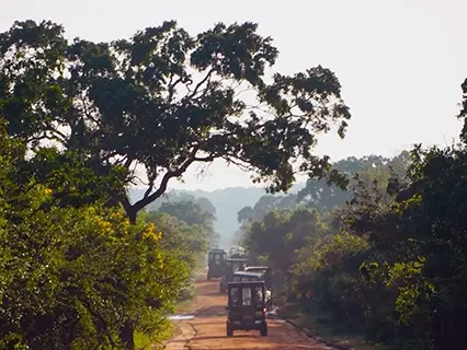 Yala activities — Day 9 of Leopard Safari