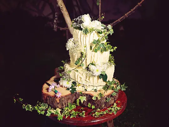 Sri Lankan Wedding Cake and Catering Services – Sri Lanka Travel Tours